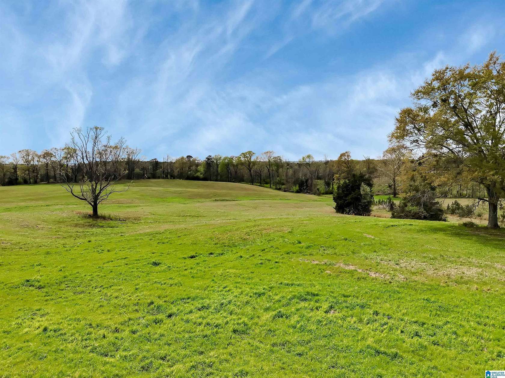 28.8 Acres of Land for Sale in Clanton, Alabama