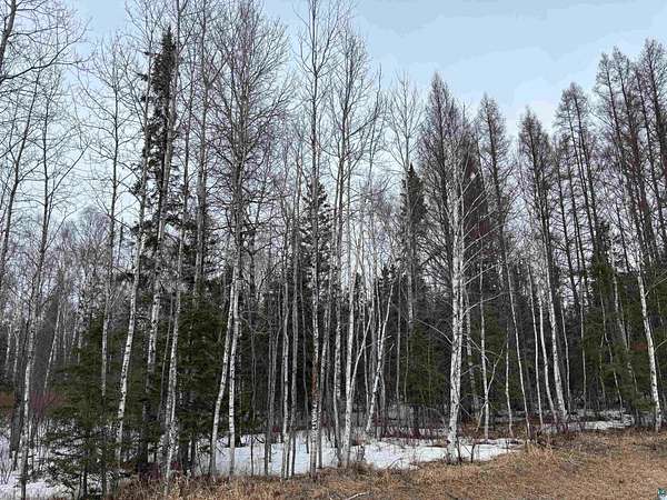 37.2 Acres of Recreational Land for Sale in Brimson, Minnesota