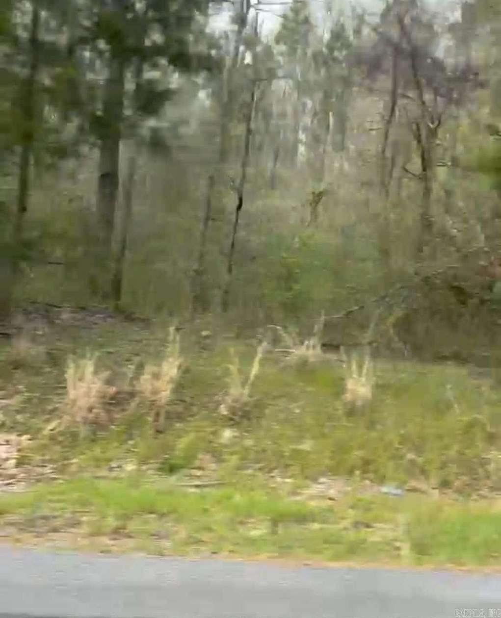 12 Acres of Recreational & Residential Land for Sale in Pine Bluff, Arkansas