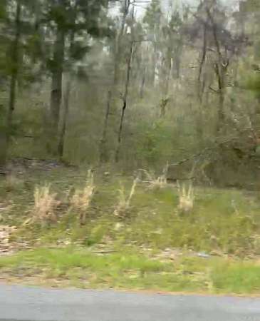 12 Acres of Land for Sale in Pine Bluff, Arkansas