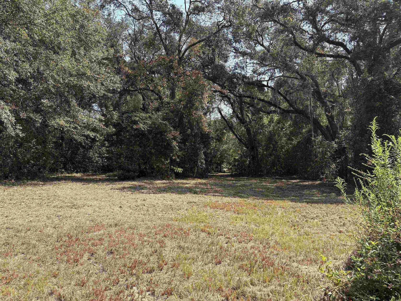 3 Acres of Residential Land for Sale in Lamont, Florida