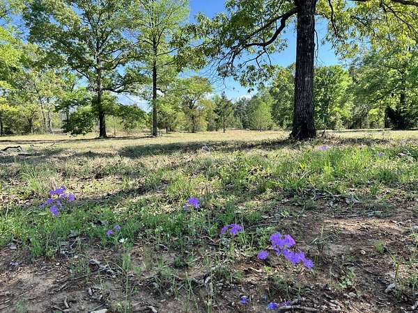 9 Acres of Land for Sale in Many, Louisiana