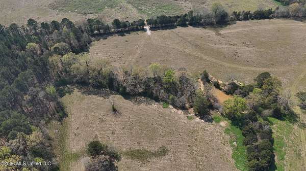 17 Acres of Land for Sale in Canton, Mississippi
