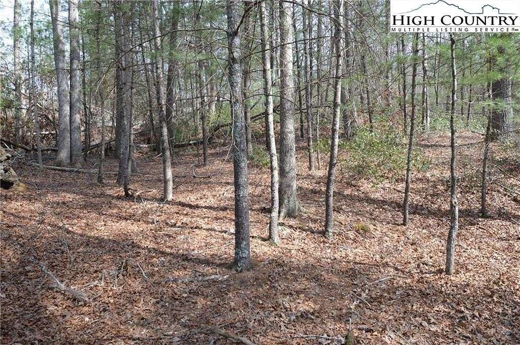 1 Acre of Land for Sale in Sparta, North Carolina