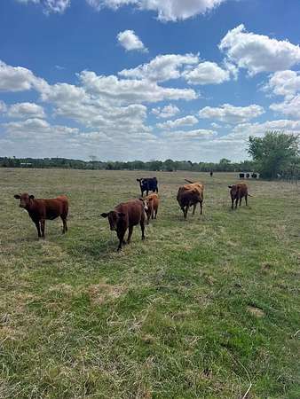 92.4 Acres of Land with Home for Sale in Athens, Texas