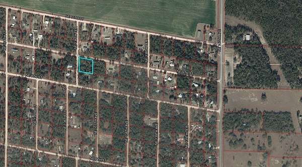 1 Acre of Residential Land for Sale in Williston, Florida