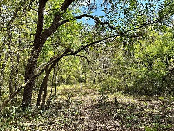 1 Acre of Residential Land for Sale in Williston, Florida
