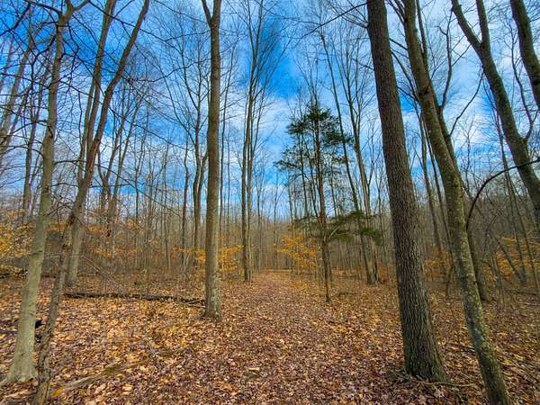 10.3 Acres of Recreational Land for Sale in Piketon, Ohio