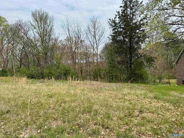 0.5 Acres of Residential Land for Sale in Laceys Spring, Alabama