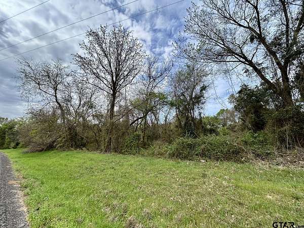2.74 Acres of Residential Land for Sale in Leesburg, Texas