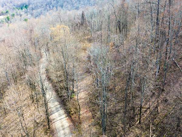 40 Acres of Recreational Land for Sale in Jamestown, Tennessee