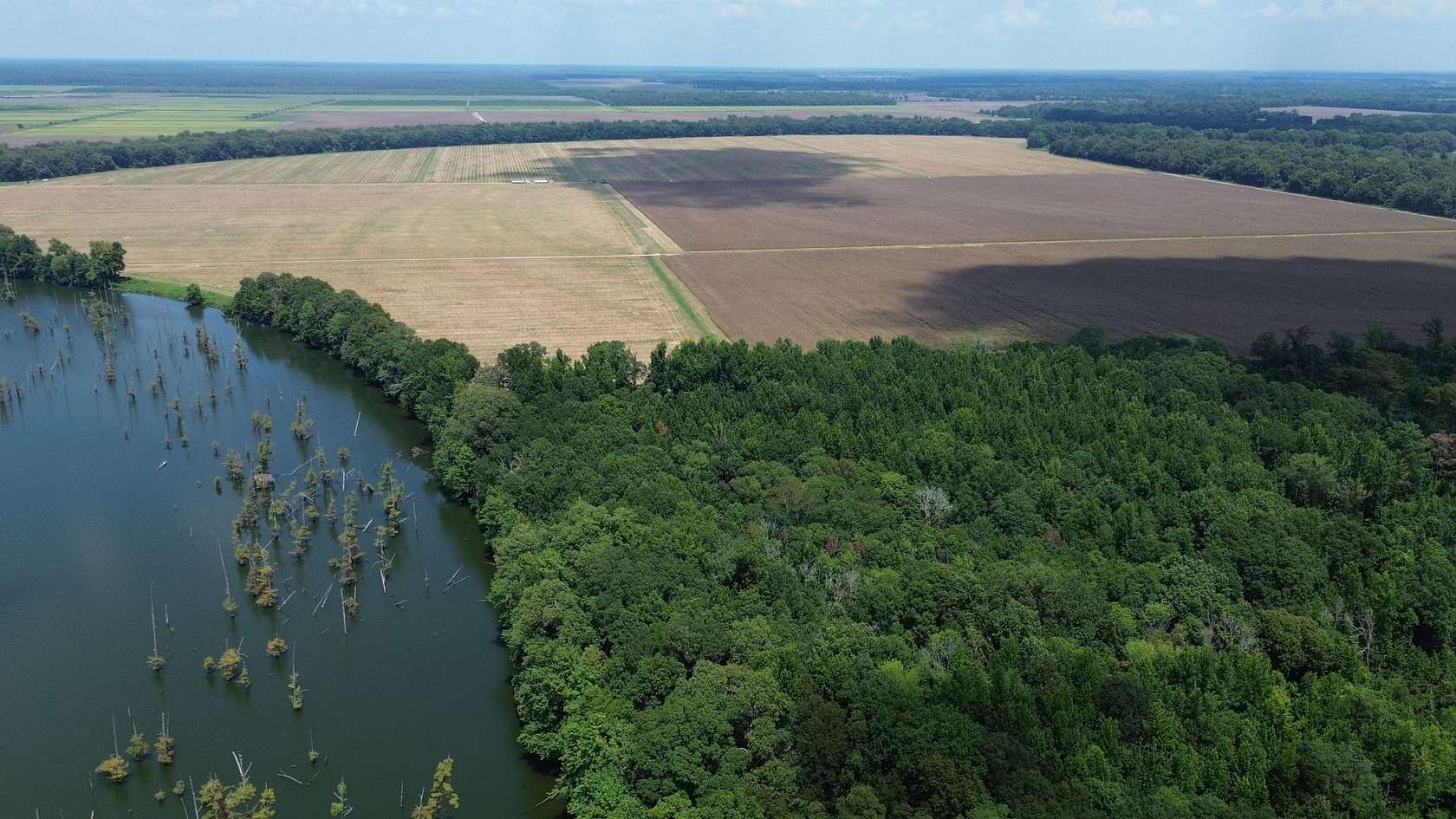 460 Acres of Land for Sale in Jones, Louisiana