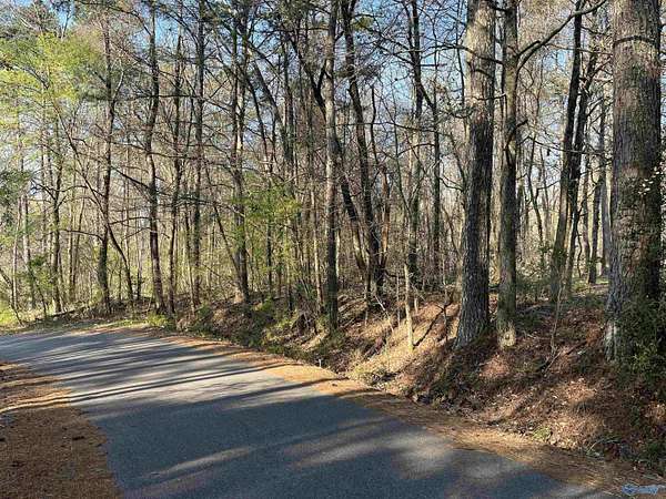1.18 Acres of Residential Land for Sale in Gadsden, Alabama