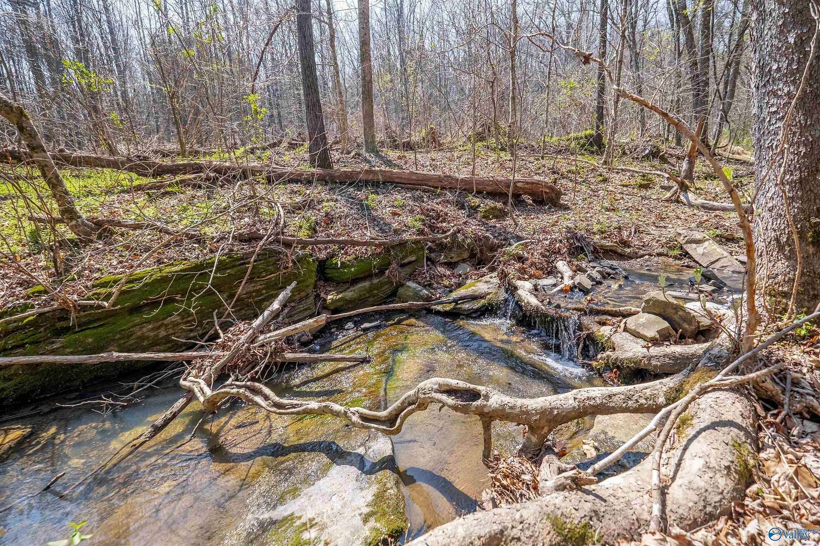 163 Acres of Recreational Land for Sale in Attalla, Alabama