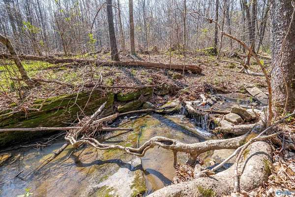 163 Acres of Recreational Land for Sale in Attalla, Alabama