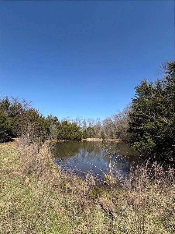 124 Acres of Recreational & Residential Land for Sale in Wesley, Arkansas
