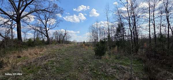80 Acres of Recreational & Residential Land for Sale in Vilonia, Arkansas