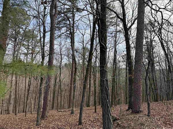 5.3 Acres of Residential Land for Sale in Little Rock, Arkansas