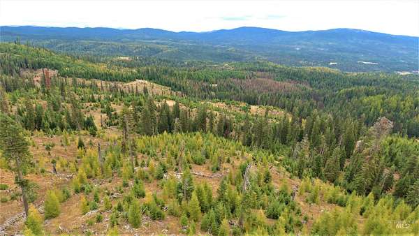 26 Acres of Recreational Land for Sale in Elk City, Idaho