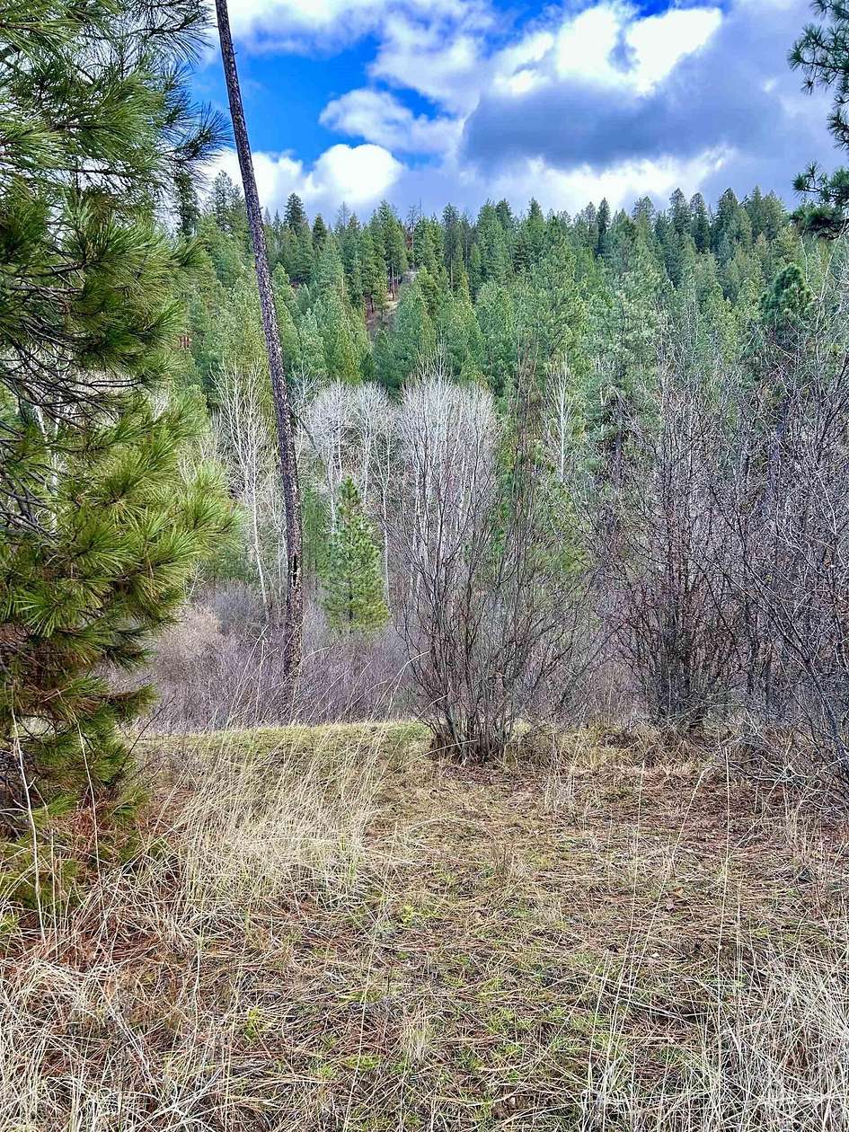 2 Acres of Residential Land for Sale in Garden Valley, Idaho