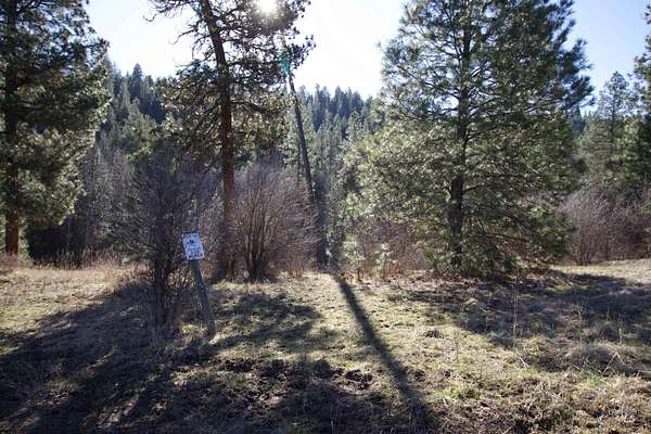 2 Acres of Residential Land for Sale in Garden Valley, Idaho