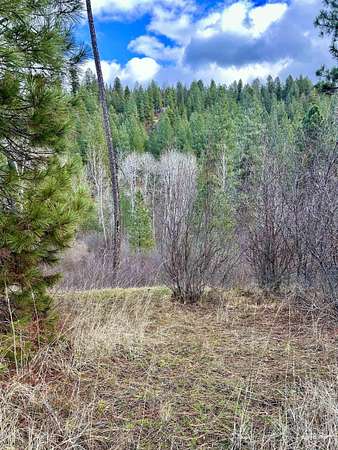2 Acres of Residential Land for Sale in Garden Valley, Idaho
