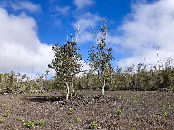 1 Acre of Residential Land for Sale in Hawaiian Ocean View, Hawaii