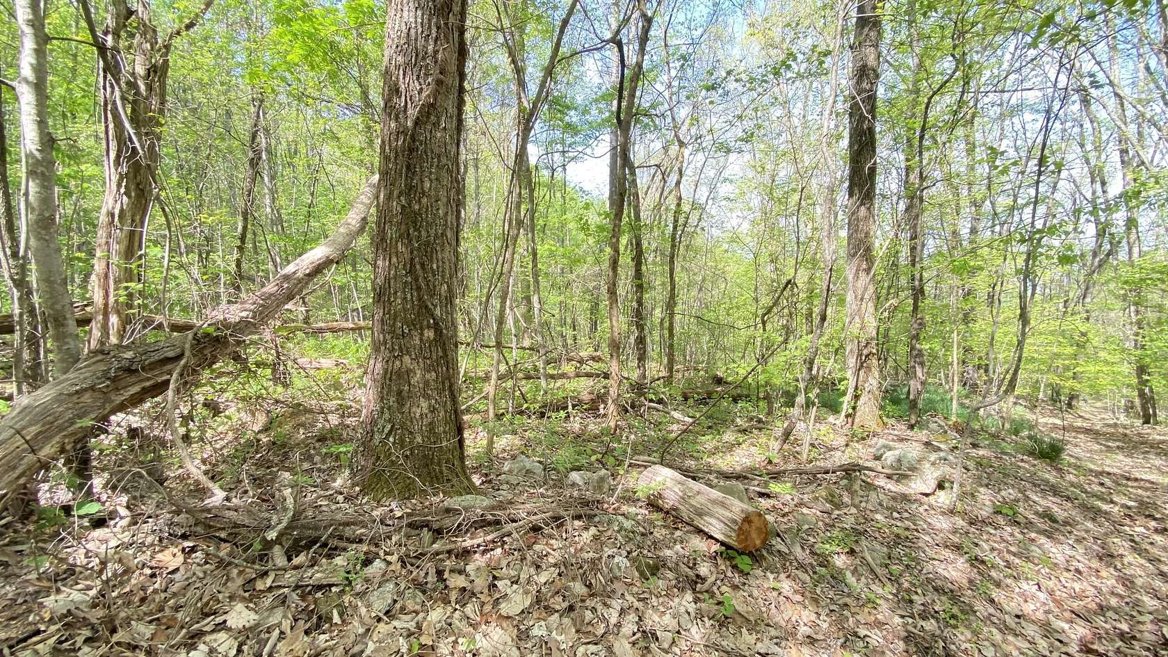 0.46 Acres of Residential Land for Sale in Dandridge, Tennessee