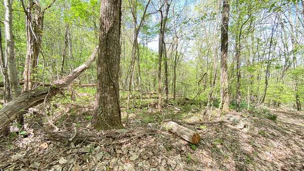 0.46 Acres of Residential Land for Sale in Dandridge, Tennessee