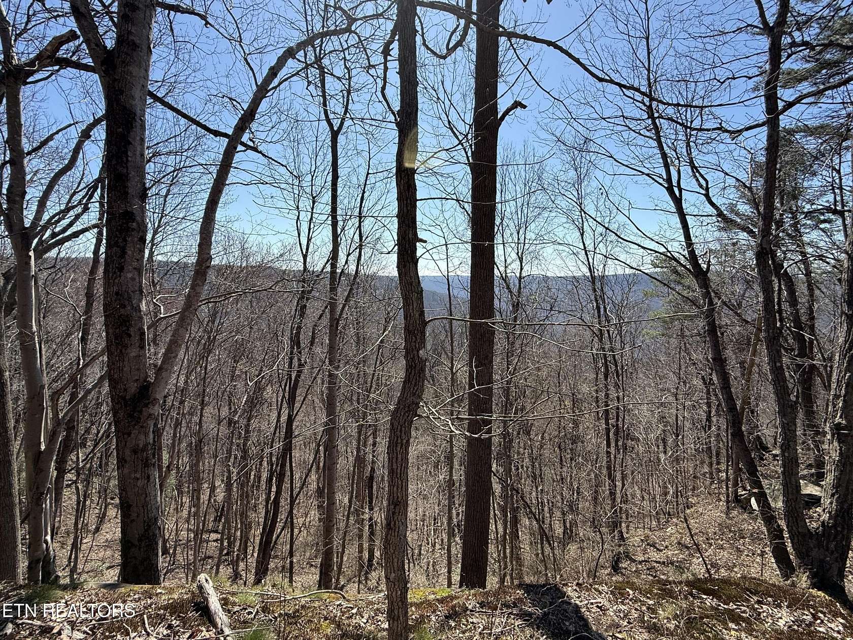 4 Acres of Residential Land for Sale in Monterey, Tennessee