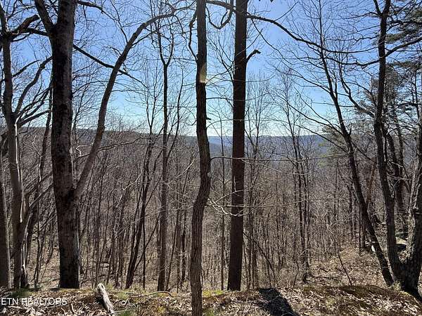 4 Acres of Residential Land for Sale in Monterey, Tennessee