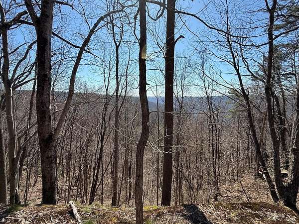 4 Acres of Residential Land for Sale in Monterey, Tennessee