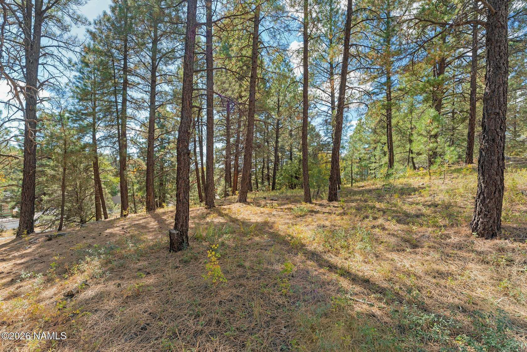 0.41 Acres of Residential Land for Sale in Flagstaff, Arizona