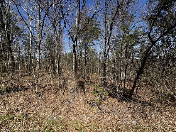 5.5 Acres of Residential Land for Sale in Chapel Hill, Tennessee