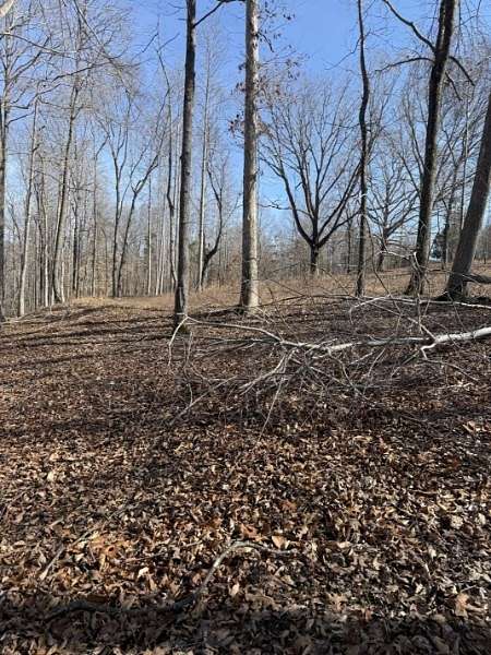 10.6 Acres of Land for Sale in Franklin, Tennessee