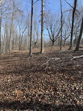 10.6 Acres of Land for Sale in Franklin, Tennessee