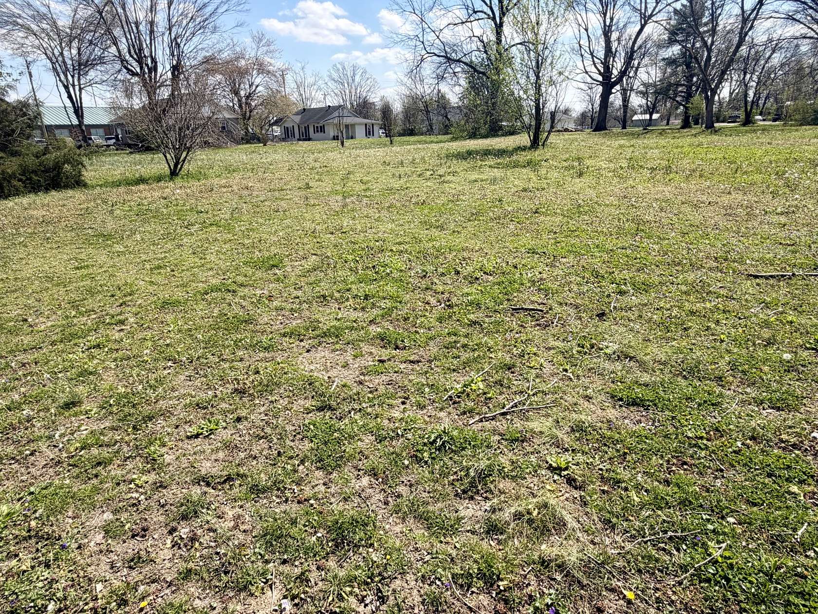 0.25 Acres of Residential Land for Sale in Hohenwald, Tennessee