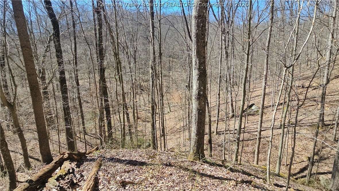 18 Acres of Recreational Land for Sale in Clendenin, West Virginia