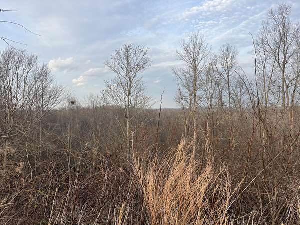 11 Acres of Land for Sale in Beattyville, Kentucky