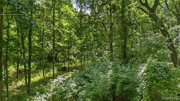 1 Acre of Residential Land for Sale in Fenton, Michigan