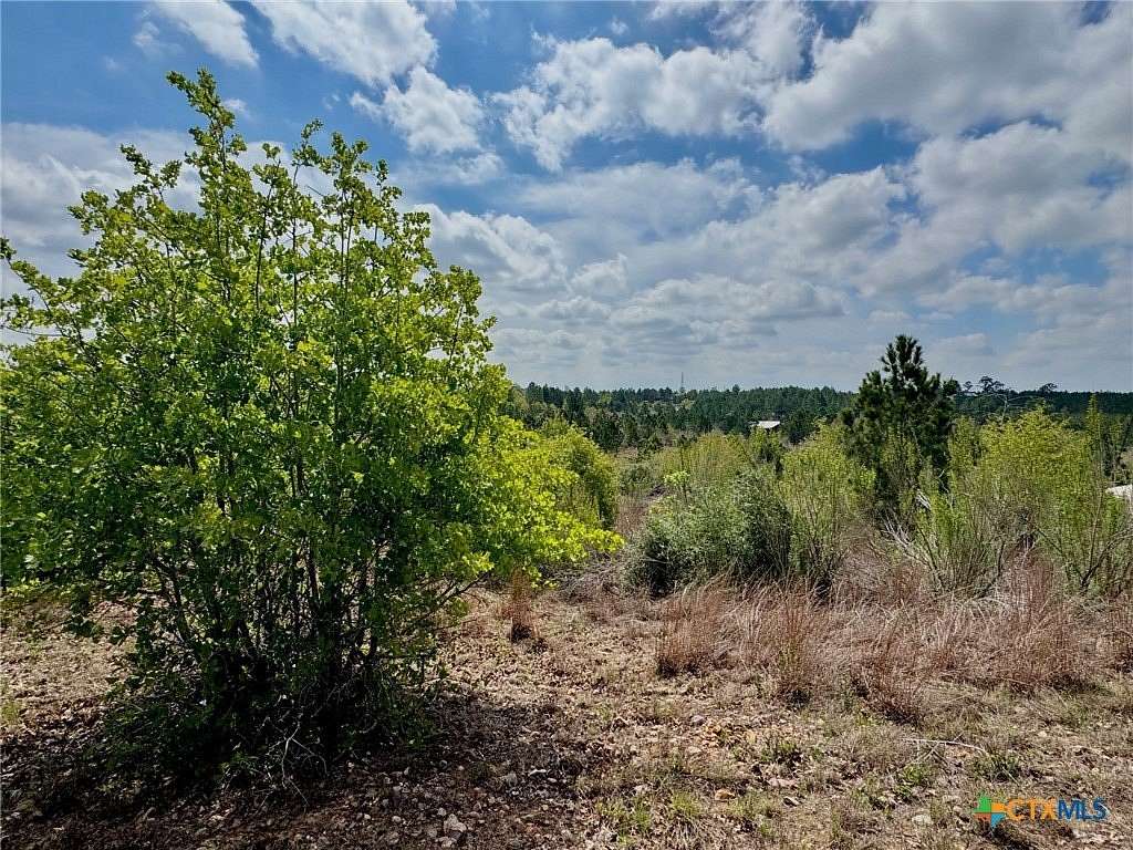 5 Acres of Residential Land for Sale in Smithville, Texas