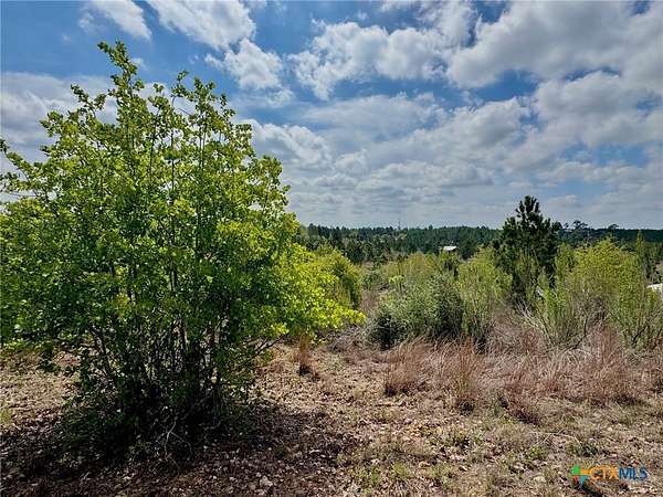 5 Acres of Residential Land for Sale in Smithville, Texas