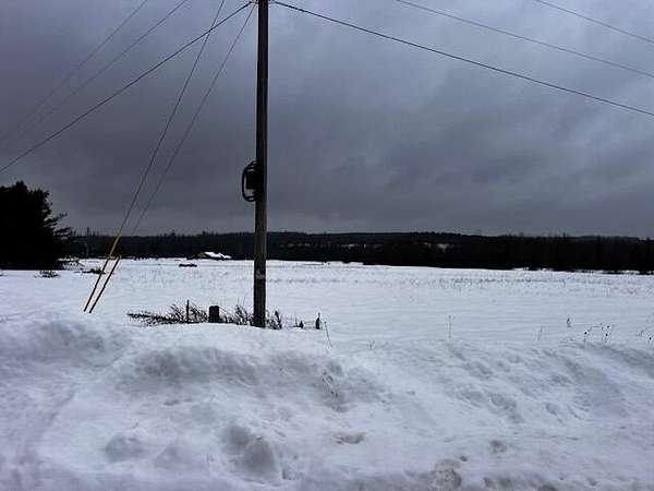 15 Acres of Land for Sale in Wolverine, Michigan