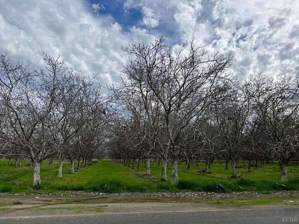 10 Acres of Land for Sale in Lemoore, California