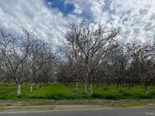 10 Acres of Agricultural Land for Sale in Lemoore, California