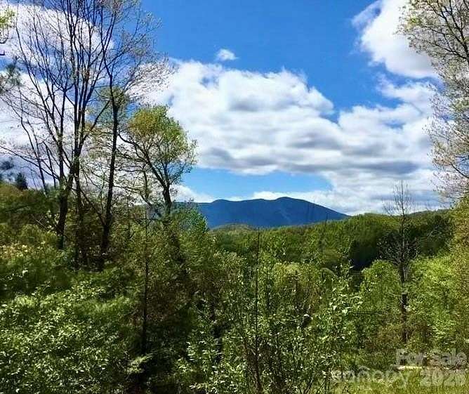 20.5 Acres of Improved Land for Sale in Little Switzerland, North Carolina