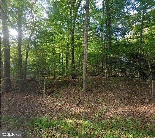 1 Acre of Residential Land for Sale in Richmond, Virginia