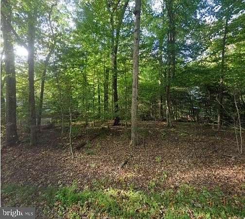 1 Acre of Residential Land for Sale in Richmond, Virginia