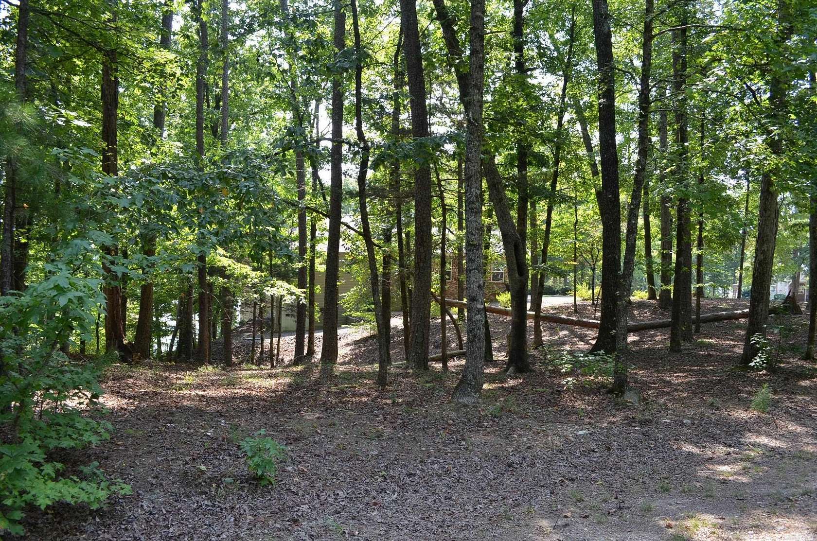 0.33 Acres of Land for Sale in Hot Springs Village, Arkansas