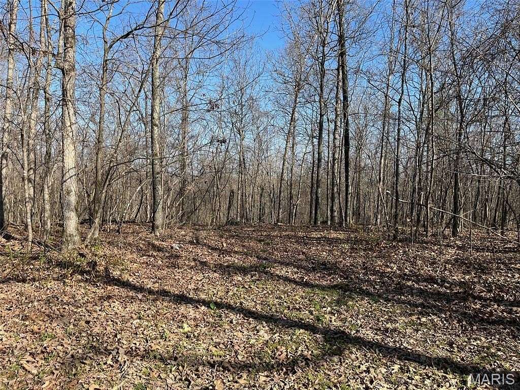 37.6 Acres of Recreational Land for Sale in Silva, Missouri